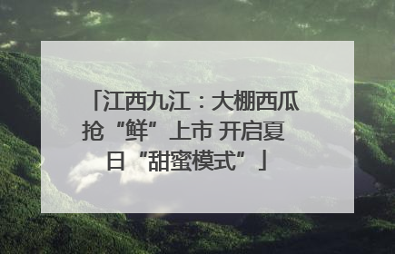 江西九江：大棚西瓜抢“鲜”上市 开启夏日“甜蜜模式”