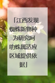 江西发现蜘蛛新物种 为研究呵叻蛛属适应区域提供依据