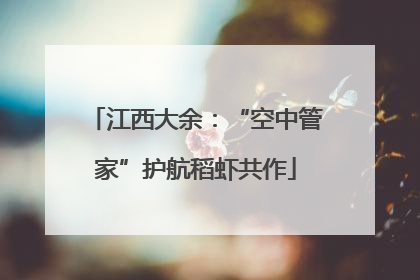 江西大余：“空中管家”护航稻虾共作