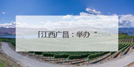 江西广昌：举办“童享端午·粽趣横生”主题游园会