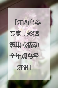江西鸟类专家：彩鹮筑巢或撬动全年观鸟经济链