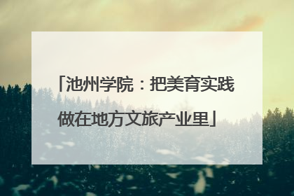 池州学院：把美育实践做在地方文旅产业里