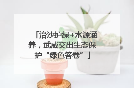 治沙护绿+水源涵养，武威交出生态保护“绿色答卷”