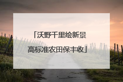 沃野千里绘新景 高标准农田保丰收