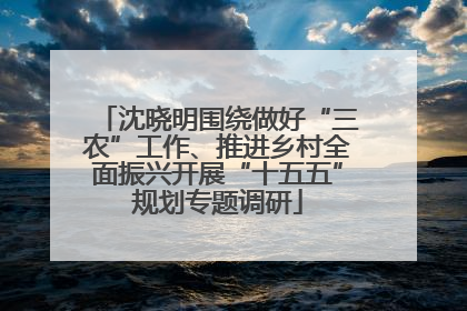 沈晓明围绕做好“三农”工作、推进乡村全面振兴开展“十五五”规划专题调研