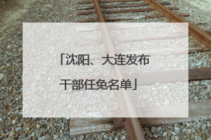 沈阳、大连发布干部任免名单