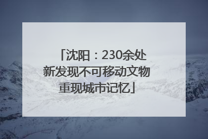 沈阳：230余处新发现不可移动文物重现城市记忆