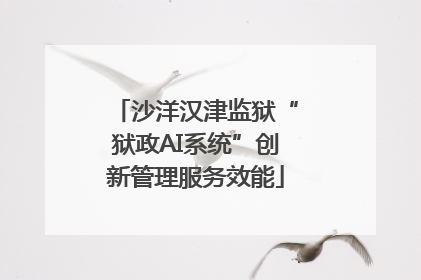 沙洋汉津监狱“狱政AI系统”创新管理服务效能