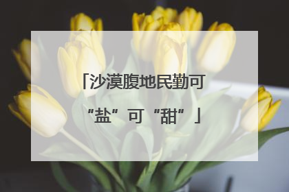 沙漠腹地民勤可“盐”可“甜”