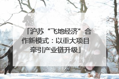 沪苏“飞地经济”合作新模式：以重大项目牵引产业链升级