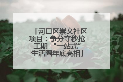 河口区崇文社区项目：争分夺秒抢工期 “一站式”生活圈年底亮相