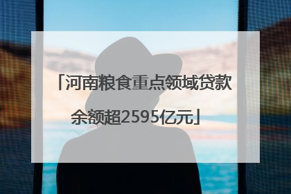 河南粮食重点领域贷款余额超2595亿元