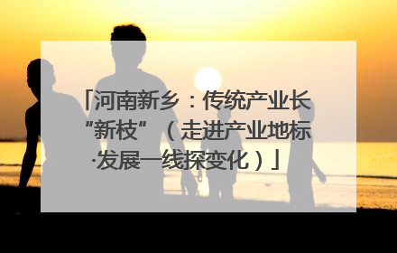 河南新乡：传统产业长“新枝”（走进产业地标·发展一线探变化）