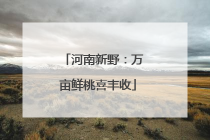 河南新野：万亩鲜桃喜丰收