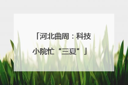 河北曲周：科技小院忙“三夏”
