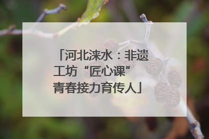 河北涞水：非遗工坊“匠心课” 青春接力育传人