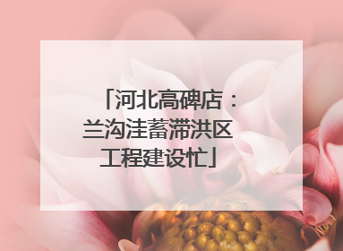 河北高碑店：兰沟洼蓄滞洪区工程建设忙