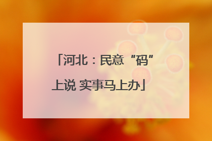 河北：民意“码”上说 实事马上办