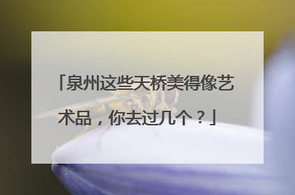 泉州这些天桥美得像艺术品，你去过几个？