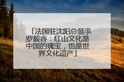 法国驻沈阳总领事罗毅睿：红山文化是中国的瑰宝，也是世界文化遗产