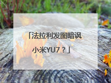 法拉利发图暗讽小米YU7？