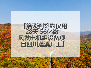 洽谈到签约仅用28天 56亿微风发电机组设备项目四川蓬溪开工