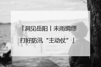 洞见岳阳丨未雨绸缪 打好防汛“主动仗”