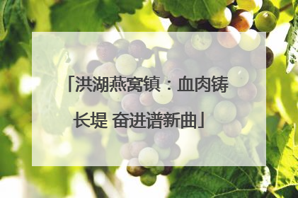 洪湖燕窝镇：血肉铸长堤 奋进谱新曲