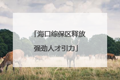海口综保区释放强劲人才引力