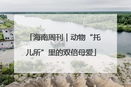 海南周刊｜动物“托儿所”里的双倍母爱