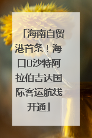 海南自贸港首条！海口⇌沙特阿拉伯吉达国际客运航线开通