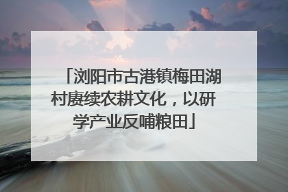 浏阳市古港镇梅田湖村赓续农耕文化，以研学产业反哺粮田