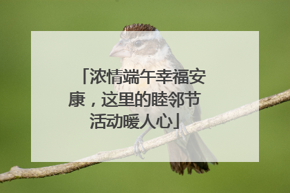 浓情端午幸福安康，这里的睦邻节活动暖人心