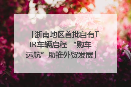 浙南地区首批自有TIR车辆启程 “购车远航”助推外贸发展