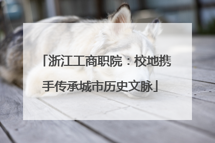 浙江工商职院：校地携手传承城市历史文脉