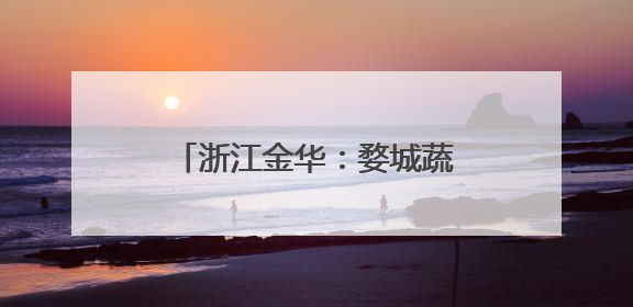 浙江金华：婺城蔬菜也“坐”上了飞机，无人机为乡村振兴插上“翅膀”