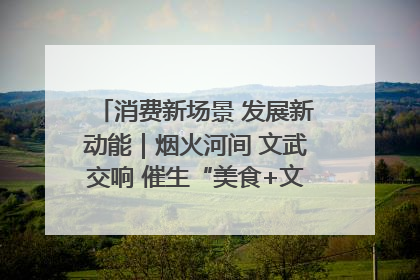 消费新场景 发展新动能｜烟火河间 文武交响 催生“美食+文化”消费新场景