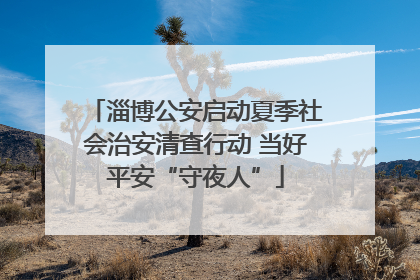 淄博公安启动夏季社会治安清查行动 当好平安“守夜人”