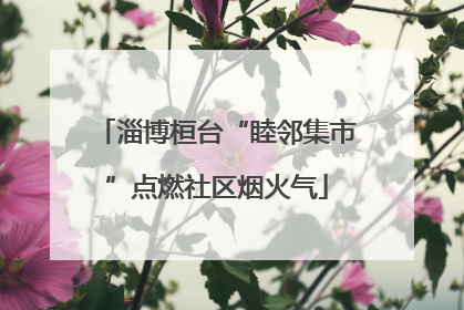 淄博桓台“睦邻集市”点燃社区烟火气