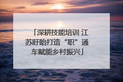 深耕技能培训 江苏盱眙打造“职”通车赋能乡村振兴