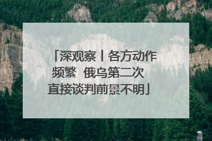 深观察丨各方动作频繁  俄乌第二次直接谈判前景不明