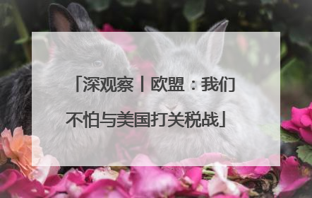 深观察丨欧盟：我们不怕与美国打关税战
