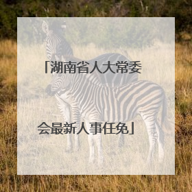 湖南省人大常委会最新人事任免