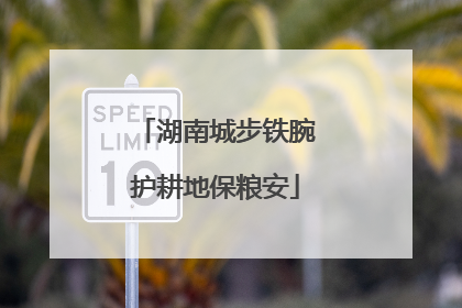 湖南城步铁腕护耕地保粮安