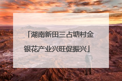 湖南新田三占塘村金银花产业兴旺促振兴