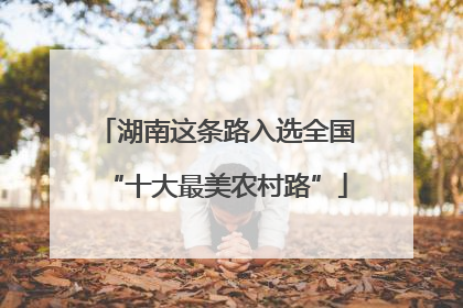 湖南这条路入选全国“十大最美农村路”