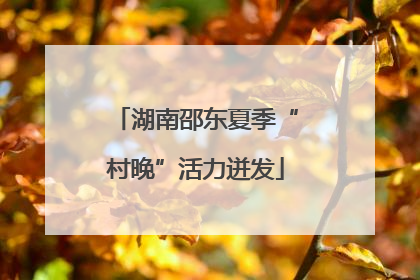 湖南邵东夏季“村晚”活力迸发