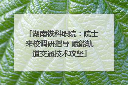湖南铁科职院：院士来校调研指导 赋能轨道交通技术攻坚