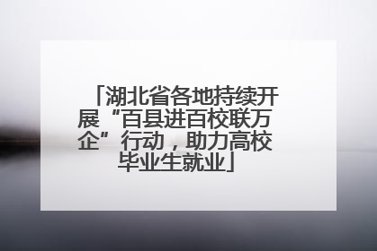 湖北省各地持续开展“百县进百校联万企”行动，助力高校毕业生就业