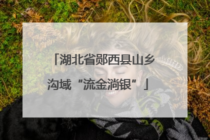 湖北省郧西县山乡沟域“流金淌银”
